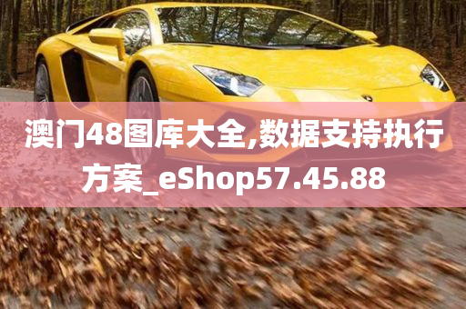 澳门48图库大全,数据支持执行方案_eShop57.45.88