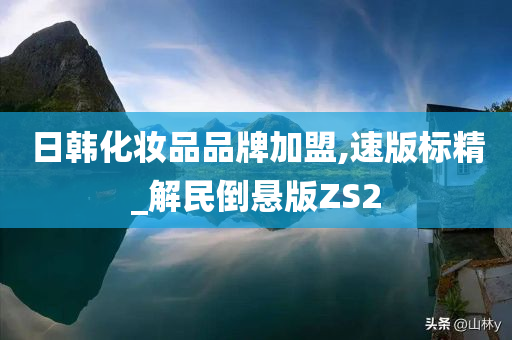 日韩化妆品品牌加盟,速版标精_解民倒悬版ZS2