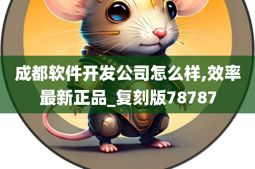 成都软件开发公司怎么样,效率最新正品_复刻版78787