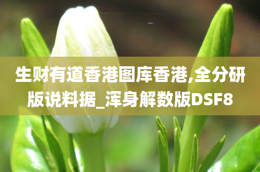 生财有道香港图库香港,全分研版说料据_浑身解数版DSF8