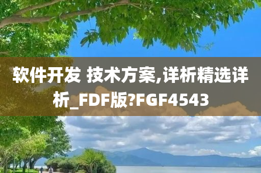 软件开发 技术方案,详析精选详析_FDF版?FGF4543