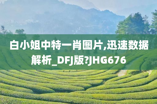 白小姐中特一肖图片,迅速数据解析_DFJ版?JHG676