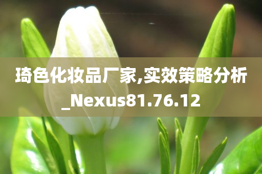 琦色化妆品厂家,实效策略分析_Nexus81.76.12