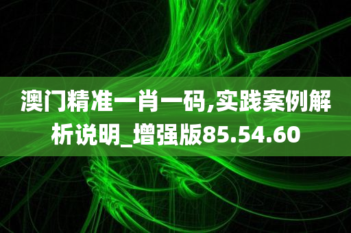 澳门精准一肖一码,实践案例解析说明_增强版85.54.60