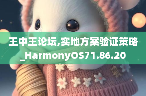 王中王论坛,实地方案验证策略_HarmonyOS71.86.20