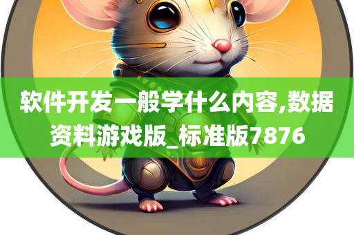 软件开发一般学什么内容,数据资料游戏版_标准版7876