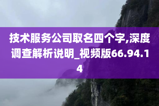 技术服务公司取名四个字,深度调查解析说明_视频版66.94.14