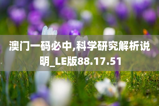 澳门一码必中,科学研究解析说明_LE版88.17.51