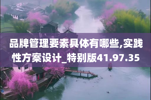 品牌管理要素具体有哪些,实践性方案设计_特别版41.97.35