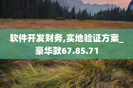 软件开发财务,实地验证方案_豪华款67.85.71