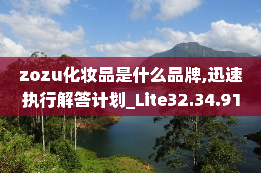 zozu化妆品是什么品牌,迅速执行解答计划_Lite32.34.91