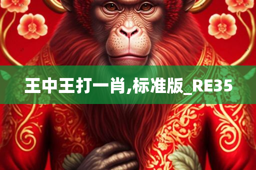 王中王打一肖,标准版_RE35