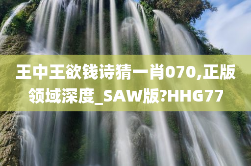 王中王欲钱诗猜一肖070,正版领域深度_SAW版?HHG77