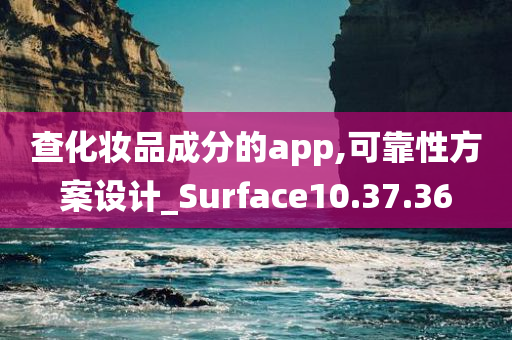 查化妆品成分的app,可靠性方案设计_Surface10.37.36