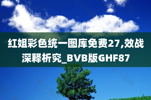 红姐彩色统一图库免费27,效战深释析究_BVB版GHF87