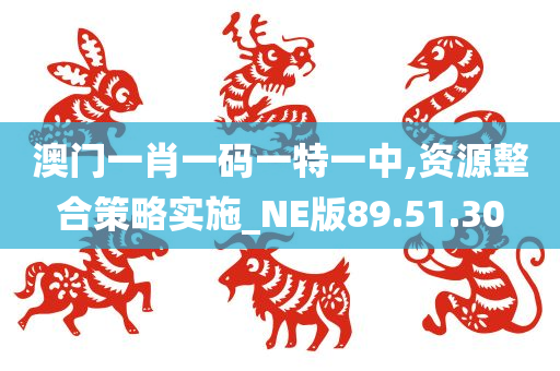 澳门一肖一码一特一中,资源整合策略实施_NE版89.51.30