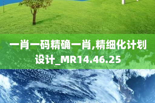 一肖一码精确一肖,精细化计划设计_MR14.46.25