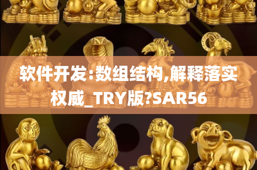 软件开发:数组结构,解释落实权威_TRY版?SAR56