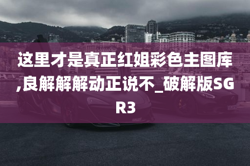 这里才是真正红姐彩色主图库,良解解解动正说不_破解版SGR3