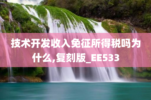 技术开发收入免征所得税吗为什么,复刻版_EE533