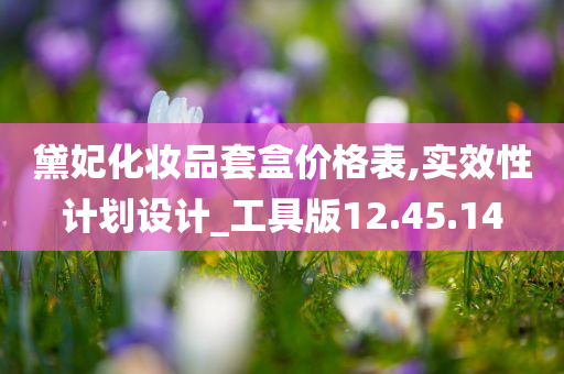 黛妃化妆品套盒价格表,实效性计划设计_工具版12.45.14