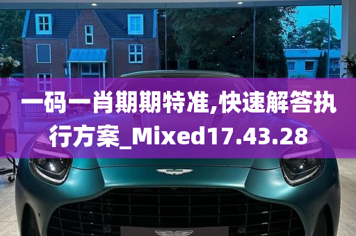 一码一肖期期特准,快速解答执行方案_Mixed17.43.28