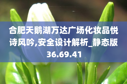 合肥天鹅湖万达广场化妆品悦诗风吟,安全设计解析_静态版36.69.41