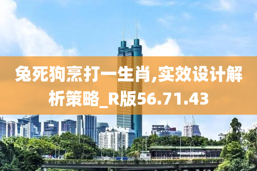 兔死狗烹打一生肖,实效设计解析策略_R版56.71.43