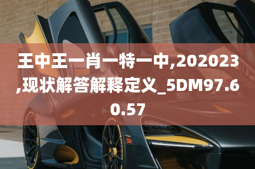 王中王一肖一特一中,202023,现状解答解释定义_5DM97.60.57