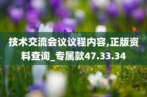 技术交流会议议程内容,正版资料查询_专属款47.33.34