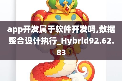 app开发属于软件开发吗,数据整合设计执行_Hybrid92.62.83