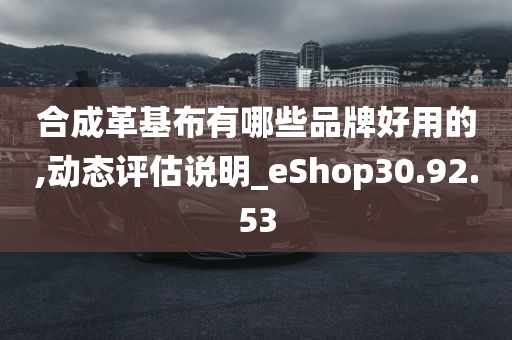 合成革基布有哪些品牌好用的,动态评估说明_eShop30.92.53