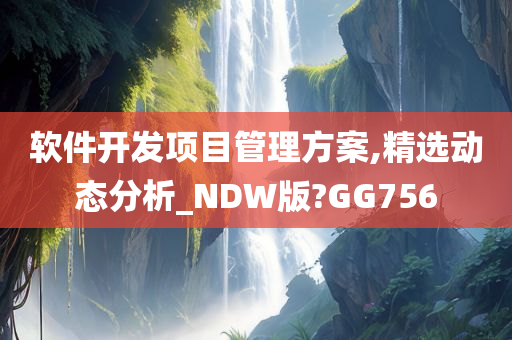 软件开发项目管理方案,精选动态分析_NDW版?GG756