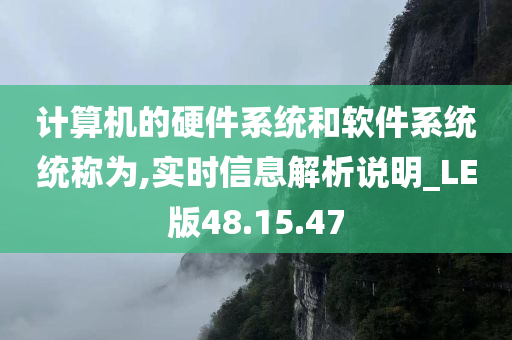 计算机的硬件系统和软件系统统称为,实时信息解析说明_LE版48.15.47