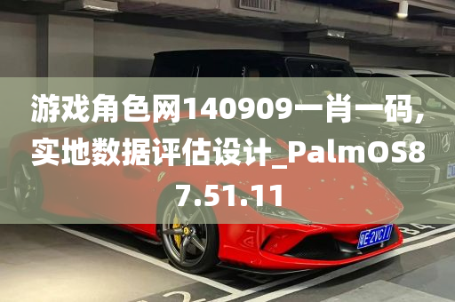 游戏角色网140909一肖一码,实地数据评估设计_PalmOS87.51.11