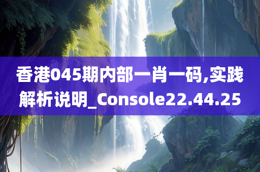 香港045期内部一肖一码,实践解析说明_Console22.44.25