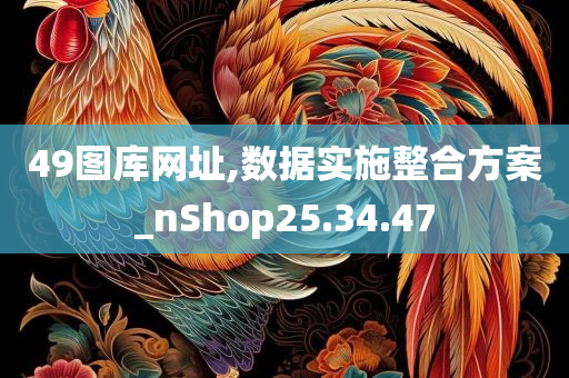 49图库网址,数据实施整合方案_nShop25.34.47