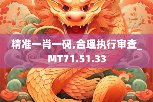 精准一肖一码,合理执行审查_MT71.51.33