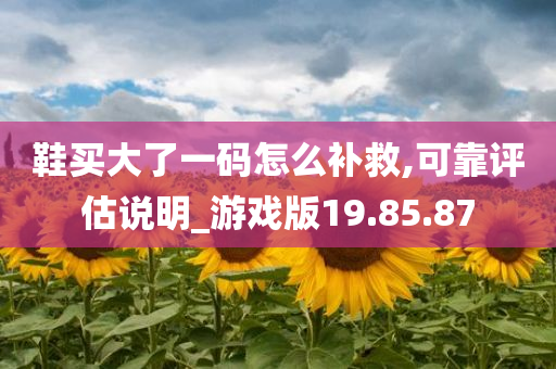 鞋买大了一码怎么补救,可靠评估说明_游戏版19.85.87