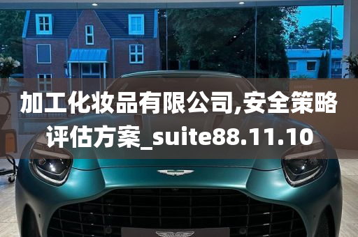 加工化妆品有限公司,安全策略评估方案_suite88.11.10