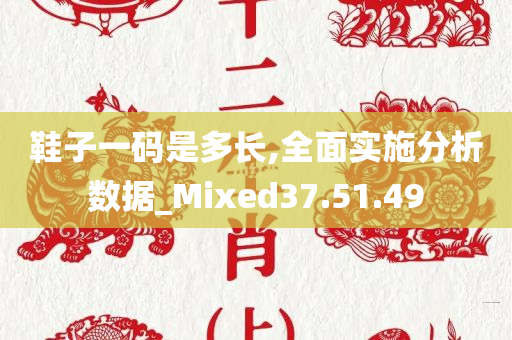 鞋子一码是多长,全面实施分析数据_Mixed37.51.49