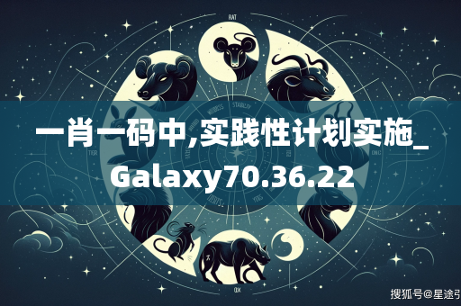 一肖一码中,实践性计划实施_Galaxy70.36.22