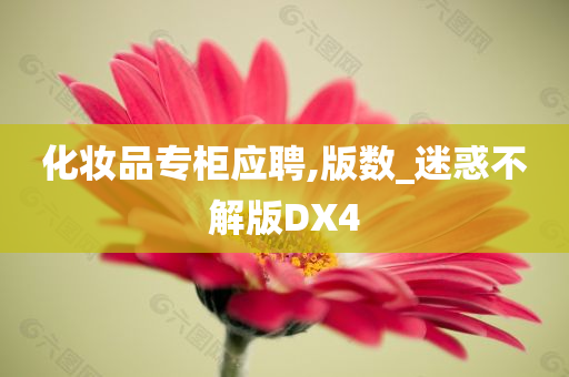 化妆品专柜应聘,版数_迷惑不解版DX4