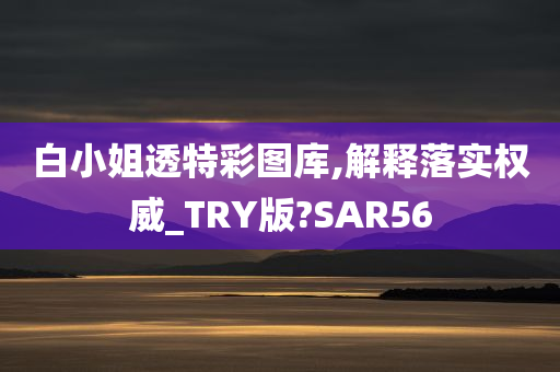 白小姐透特彩图库,解释落实权威_TRY版?SAR56