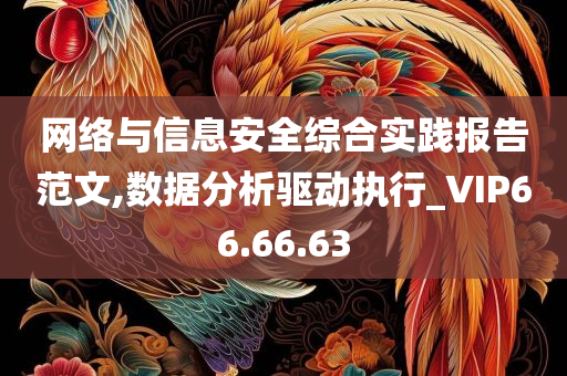 网络与信息安全综合实践报告范文,数据分析驱动执行_VIP66.66.63