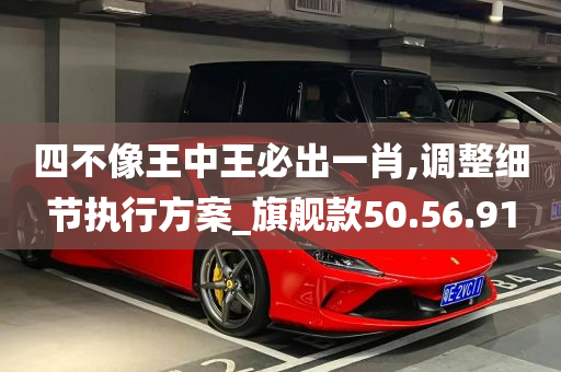 四不像王中王必出一肖,调整细节执行方案_旗舰款50.56.91