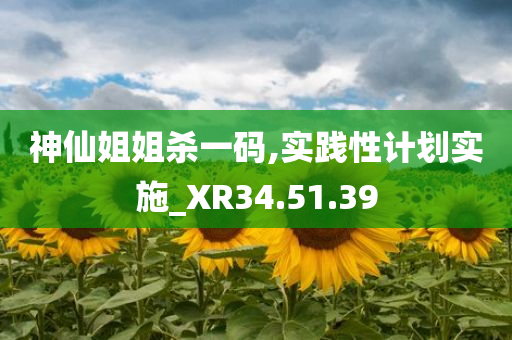 神仙姐姐杀一码,实践性计划实施_XR34.51.39