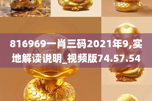 816969一肖三码2021年9,实地解读说明_视频版74.57.54