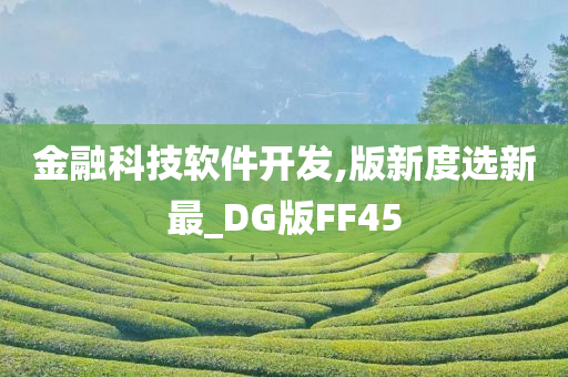 金融科技软件开发,版新度选新最_DG版FF45