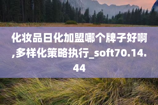 化妆品日化加盟哪个牌子好啊,多样化策略执行_soft70.14.44